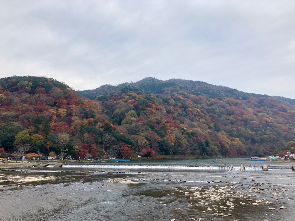 紅葉 18 11 29更新 大阪府堺市 堺区 北区 西区 中区 の不動産のことなら株式会社リアンホーム